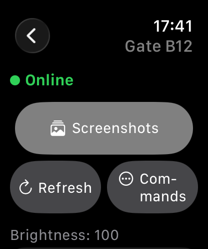 Apple Watch showing one sign, online, with Screenshots, Refresh and Commands buttons.